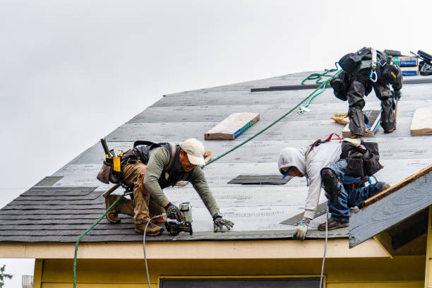 Professional Gutter Installation technician working in Nashville, AR